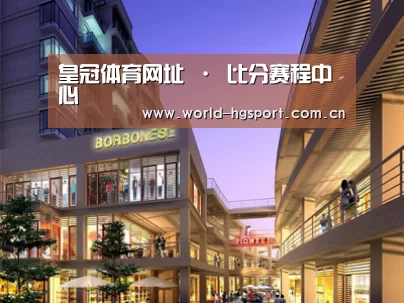 案例展示一(图1)