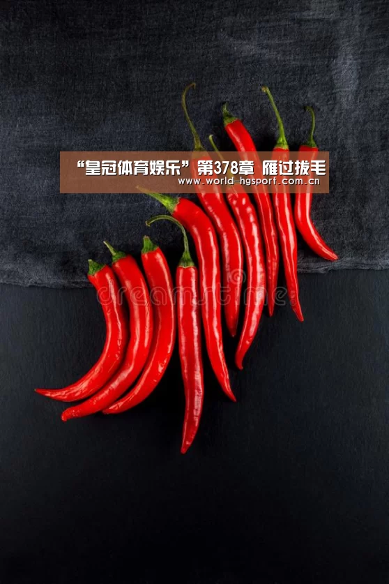 “皇冠体育娱乐”第378章 雁过拔毛(图1) 皇冠体育娱乐