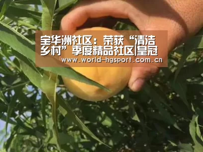 宝华洲社区:荣获“清洁乡村”季度精品社区|皇冠体育网址(图2) 皇冠体育