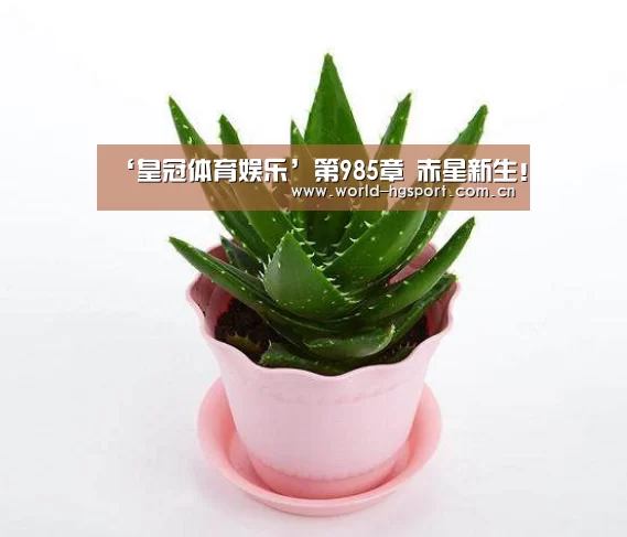 皇冠体育娱乐