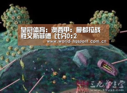 皇冠体育娱乐