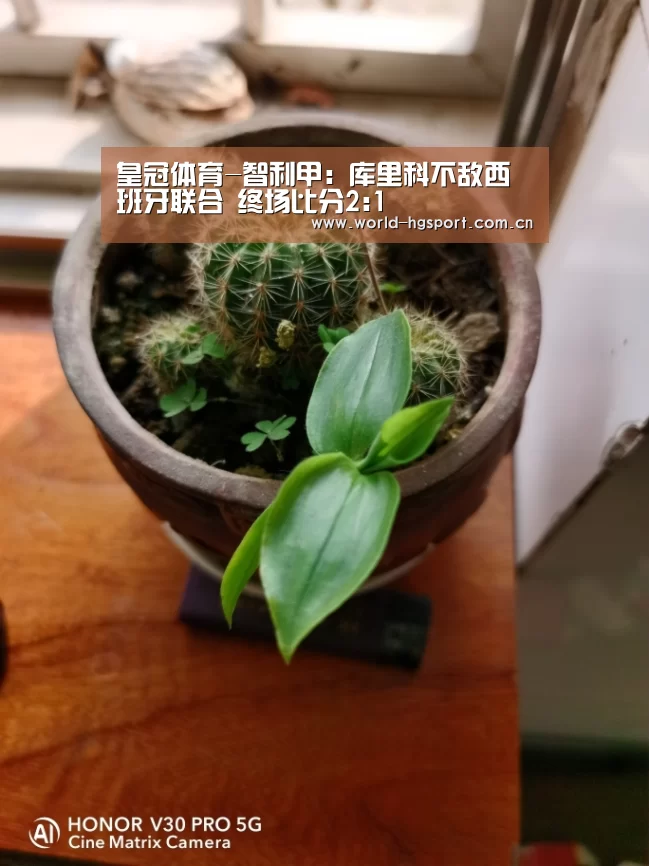 皇冠体育网址
